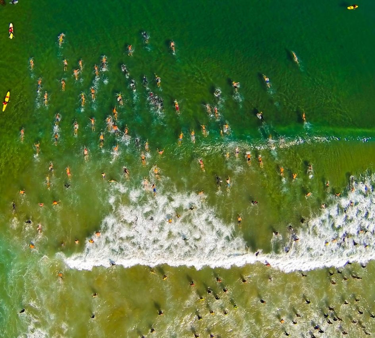 Zawody pływackie w La Jolla w Kaliforni. Drugie miejsce kategorii "Nature". Fot. Kevin Dilliard